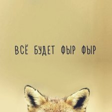 Зимнее солнце. Глава 10. Джаред из семьи Фоксов