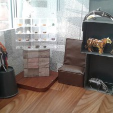 Румбокс для кукол: кабинет естественных наук