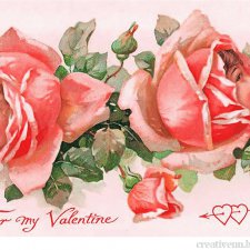 День святого Валентина. Как можно отпраздновать?