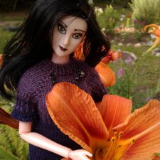 Моя новенькая: Донна Розье. Румбокс: швейная мастерская