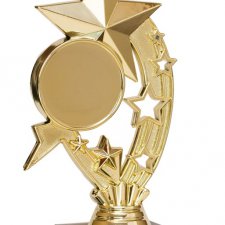 А вы участвуете в конкурсах?