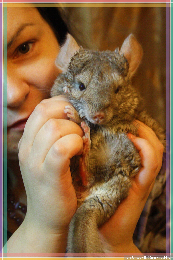 С Днем Рождения меня — Болталка и разговоры обо всем: жизнь