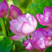 С Днем Рождения меня