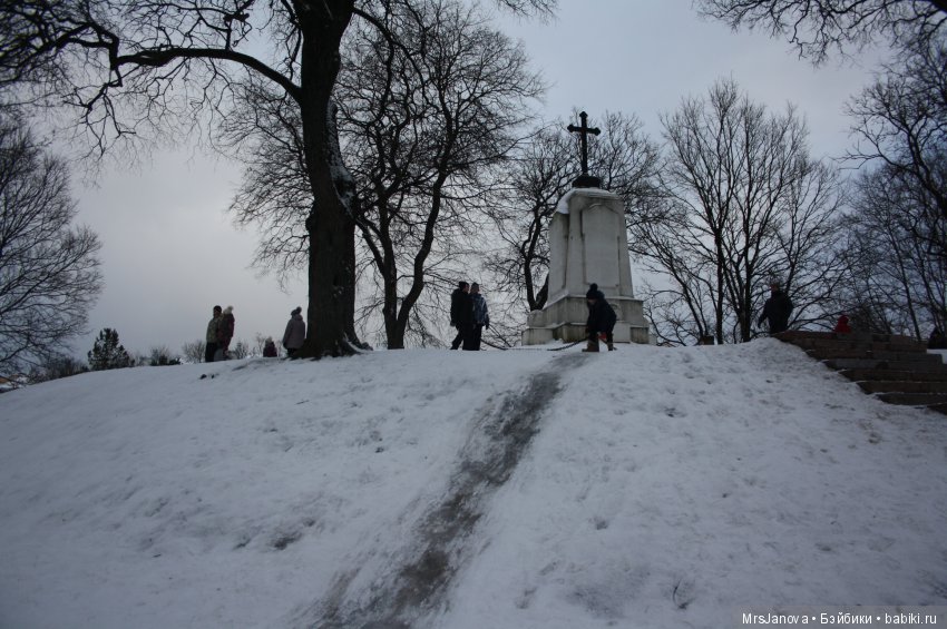 Мой прекрасный город — Культура (фото 2)