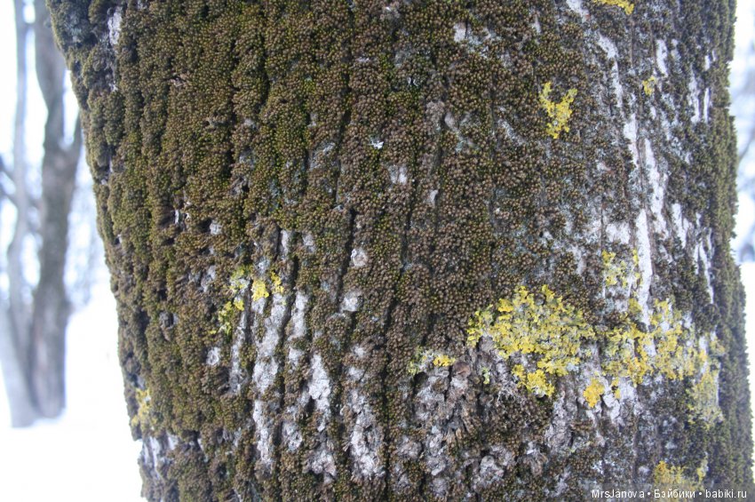 Мой прекрасный город — Культура (фото 3)