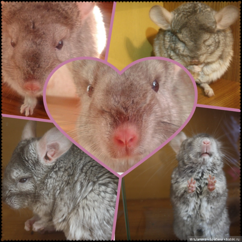 Шушенька | Бэйбики Шушенька — Болталка и разговоры обо всем: жизнь