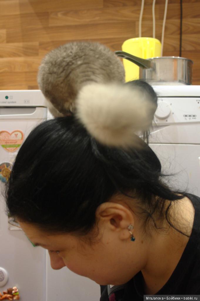 Шушенька | Бэйбики Шушенька — Болталка и разговоры обо всем: жизнь (фото 6)