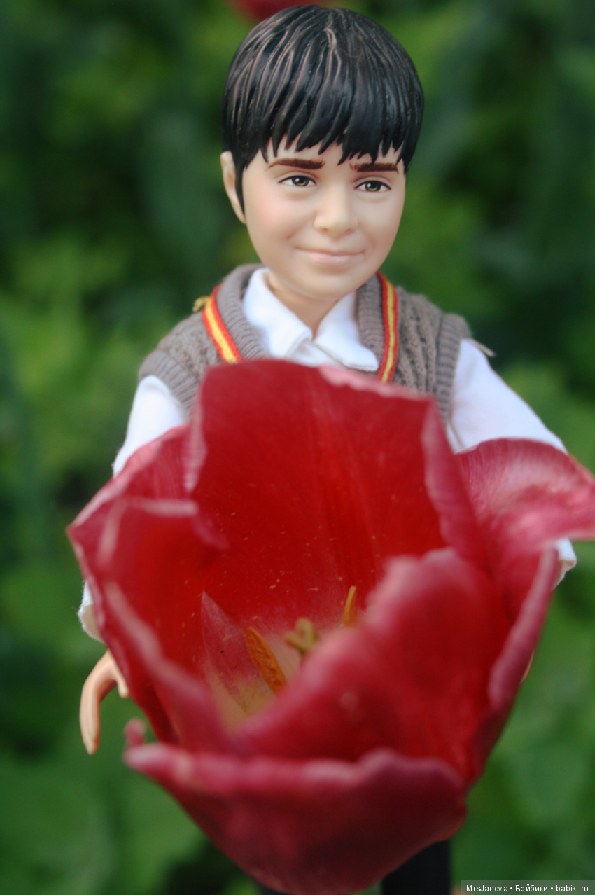 Три дня волшебства. День первый. Прогулка с Гарри Поттером (фото 8)