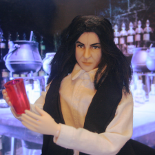 Северус Снейп, мастер зелий