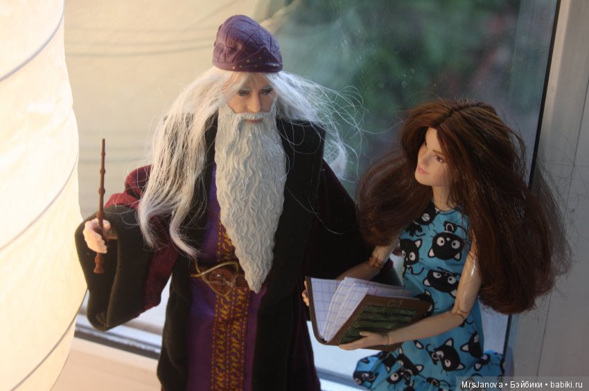 Дневники Гермионы. Запись № 1