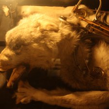 Петербург. Музей НЕправды (18+). Часть 2