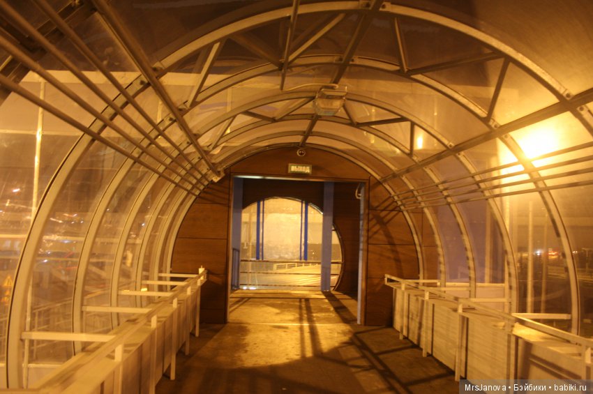 Петербург. Ночная прогулка с Гермионой