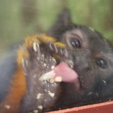 Псков. Эколого-биологический центр. Часть 2