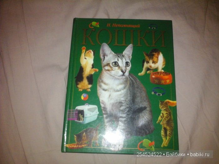 Мои коллекции календариков с кошками и вкладышей от жвачки | Бэйбики Мои коллекции календариков с кошками и вкладышей от жвачки