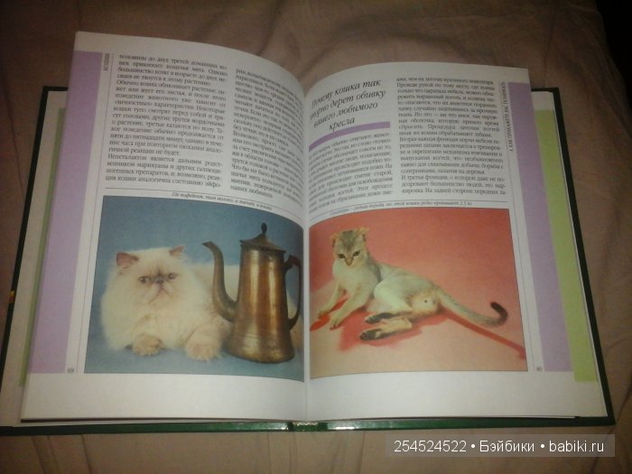 Мои коллекции календариков с кошками и вкладышей от жвачки | Бэйбики Мои коллекции календариков с кошками и вкладышей от жвачки