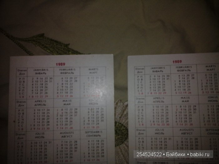 Мои коллекции календариков с кошками и вкладышей от жвачки | Бэйбики Мои коллекции календариков с кошками и вкладышей от жвачки