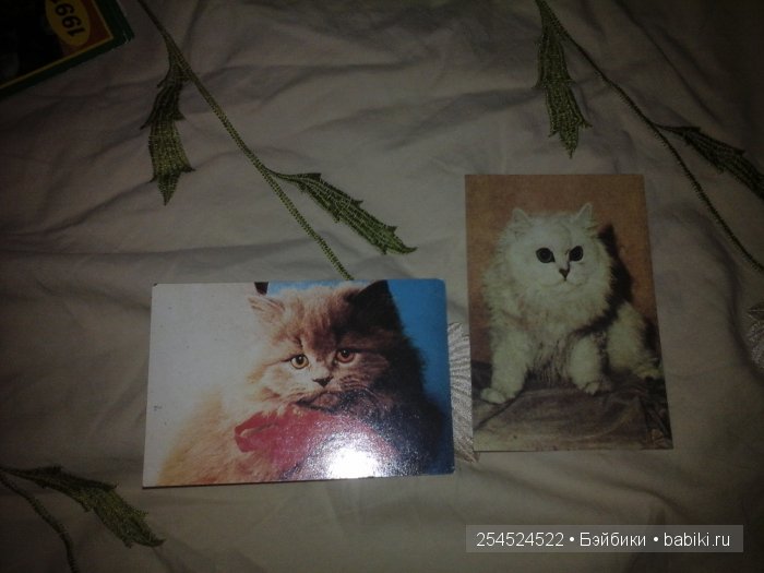 Мои коллекции календариков с кошками и вкладышей от жвачки | Бэйбики Мои коллекции календариков с кошками и вкладышей от жвачки