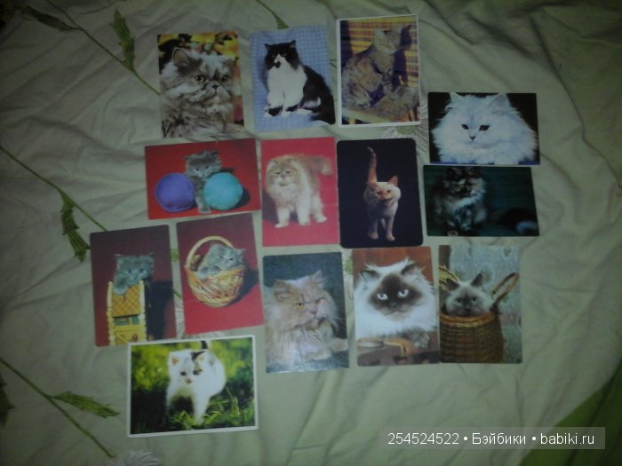 Мои коллекции календариков с кошками и вкладышей от жвачки | Бэйбики Мои коллекции календариков с кошками и вкладышей от жвачки