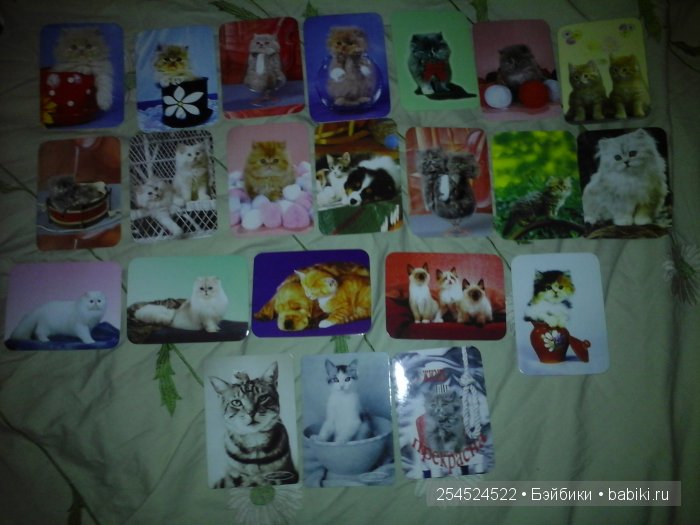 Мои коллекции календариков с кошками и вкладышей от жвачки | Бэйбики Мои коллекции календариков с кошками и вкладышей от жвачки