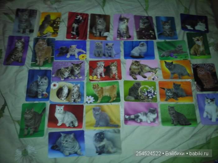 Мои коллекции календариков с кошками и вкладышей от жвачки | Бэйбики Мои коллекции календариков с кошками и вкладышей от жвачки
