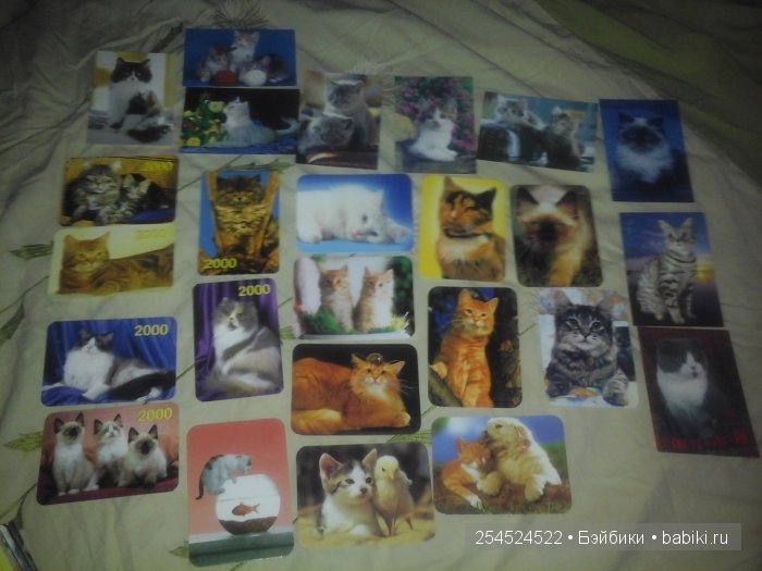 Мои коллекции календариков с кошками и вкладышей от жвачки | Бэйбики Мои коллекции календариков с кошками и вкладышей от жвачки