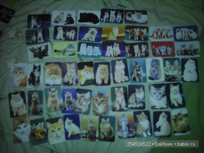 Мои коллекции календариков с кошками и вкладышей от жвачки | Бэйбики Мои коллекции календариков с кошками и вкладышей от жвачки