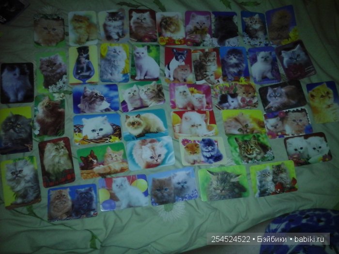 Мои коллекции календариков с кошками и вкладышей от жвачки | Бэйбики Мои коллекции календариков с кошками и вкладышей от жвачки