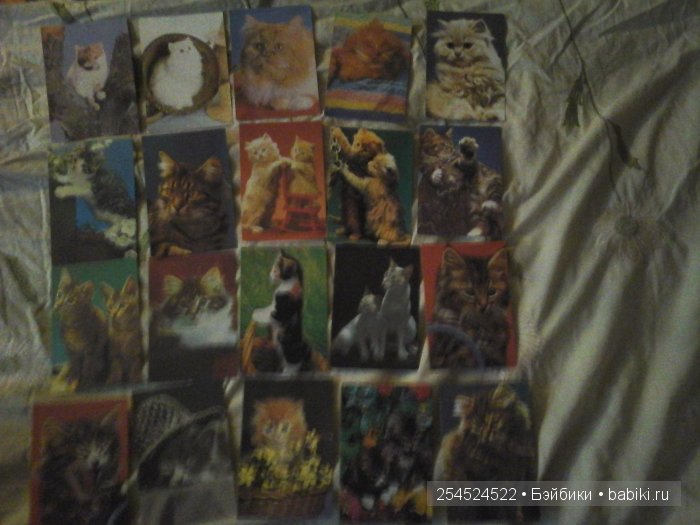 Мои коллекции календариков с кошками и вкладышей от жвачки | Бэйбики Мои коллекции календариков с кошками и вкладышей от жвачки