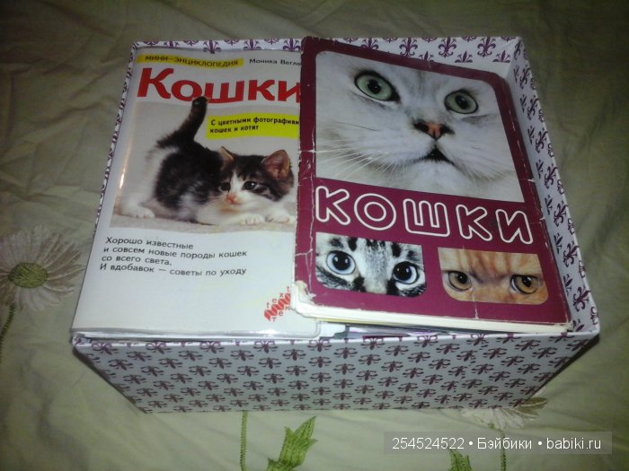 Мои коллекции календариков с кошками и вкладышей от жвачки | Бэйбики Мои коллекции календариков с кошками и вкладышей от жвачки