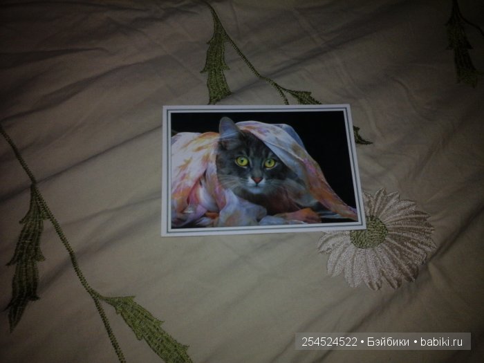 Мои коллекции календариков с кошками и вкладышей от жвачки | Бэйбики Мои коллекции календариков с кошками и вкладышей от жвачки