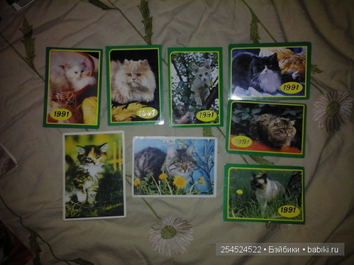 Мои коллекции календариков с кошками и вкладышей от жвачки | Бэйбики Мои коллекции календариков с кошками и вкладышей от жвачки