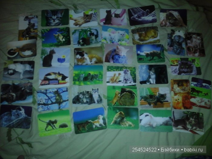 Мои коллекции календариков с кошками и вкладышей от жвачки | Бэйбики Мои коллекции календариков с кошками и вкладышей от жвачки