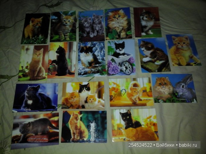 Мои коллекции календариков с кошками и вкладышей от жвачки | Бэйбики Мои коллекции календариков с кошками и вкладышей от жвачки