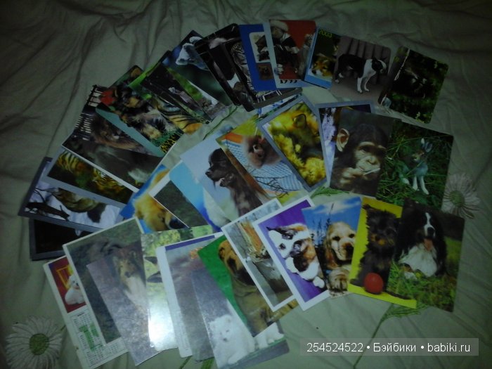 Мои коллекции календариков с кошками и вкладышей от жвачки | Бэйбики Мои коллекции календариков с кошками и вкладышей от жвачки