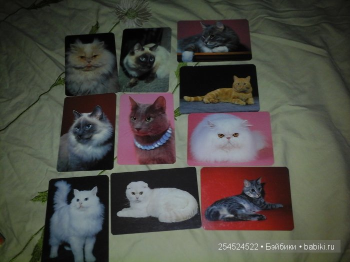 Мои коллекции календариков с кошками и вкладышей от жвачки | Бэйбики Мои коллекции календариков с кошками и вкладышей от жвачки