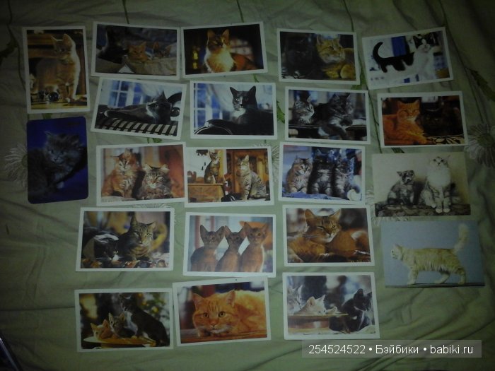 Мои коллекции календариков с кошками и вкладышей от жвачки | Бэйбики Мои коллекции календариков с кошками и вкладышей от жвачки