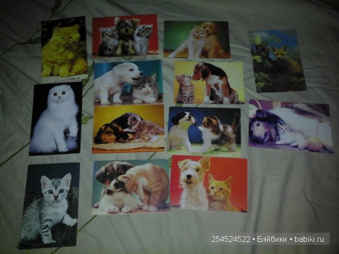 Мои коллекции календариков с кошками и вкладышей от жвачки | Бэйбики Мои коллекции календариков с кошками и вкладышей от жвачки