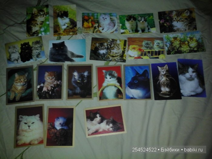 Мои коллекции календариков с кошками и вкладышей от жвачки | Бэйбики Мои коллекции календариков с кошками и вкладышей от жвачки