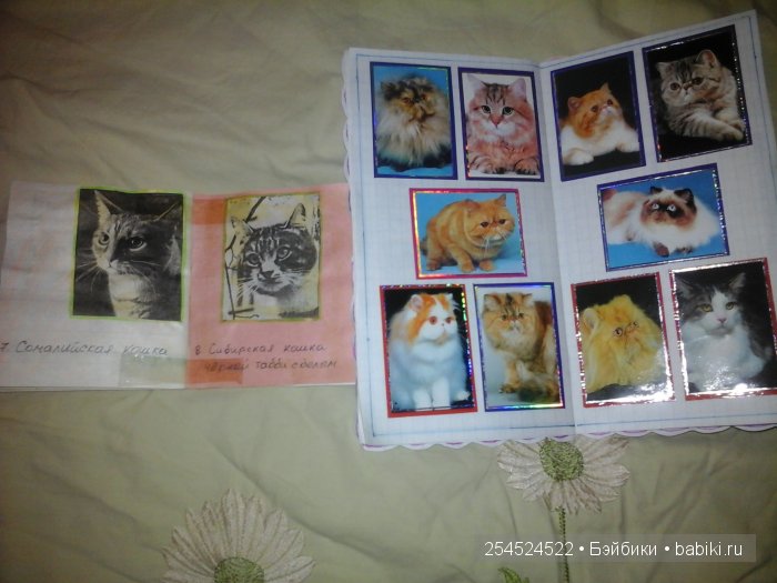Мои коллекции календариков с кошками и вкладышей от жвачки | Бэйбики Мои коллекции календариков с кошками и вкладышей от жвачки