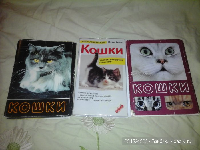 Мои коллекции календариков с кошками и вкладышей от жвачки | Бэйбики Мои коллекции календариков с кошками и вкладышей от жвачки (фото 3)