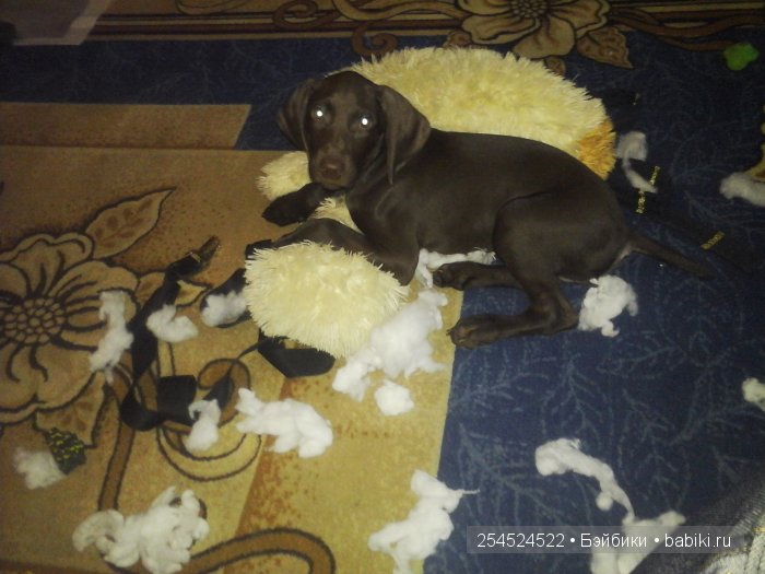 Авторская игрушка Лимурчик (фото 2)