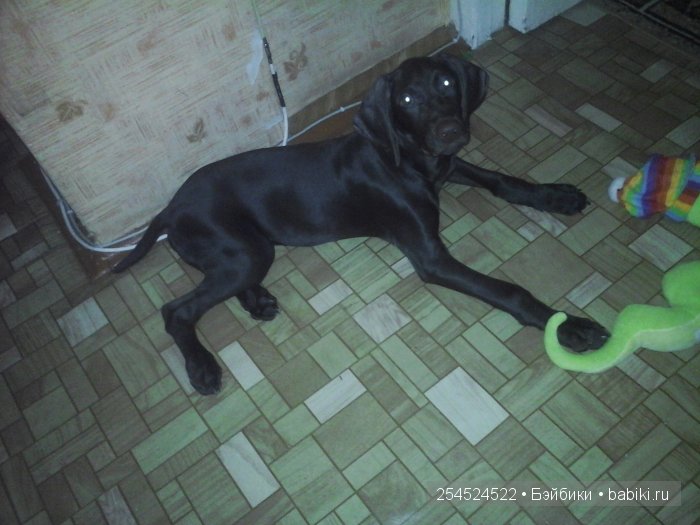 Ура! ПЕ-РЕ-ЕЗД! Игровые испанские куклы