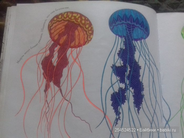 Как мы с Машей побывали в Царстве животных (фото 7)