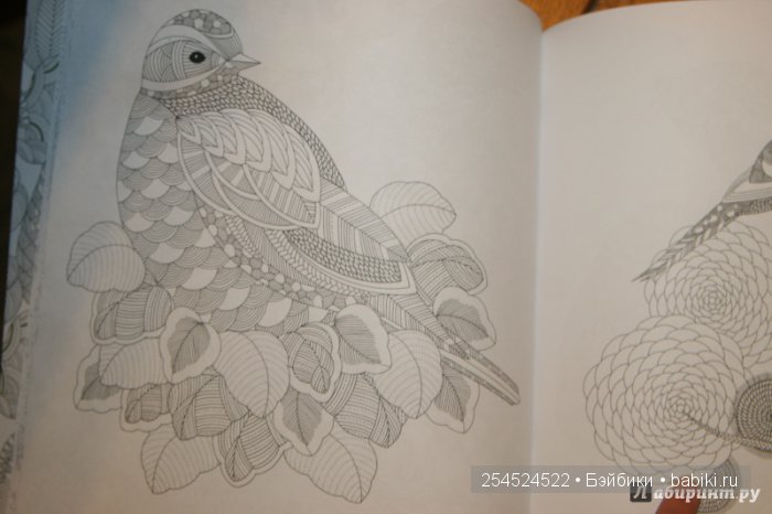 Как мы с Машей побывали в Царстве животных