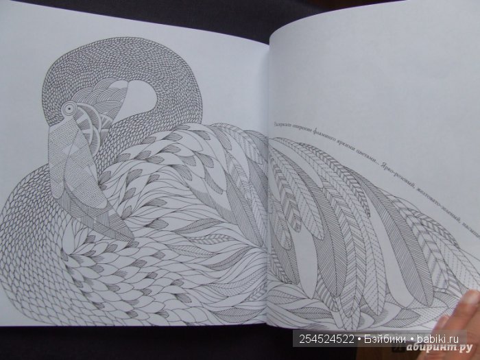 Как мы с Машей побывали в Царстве животных (фото 9)