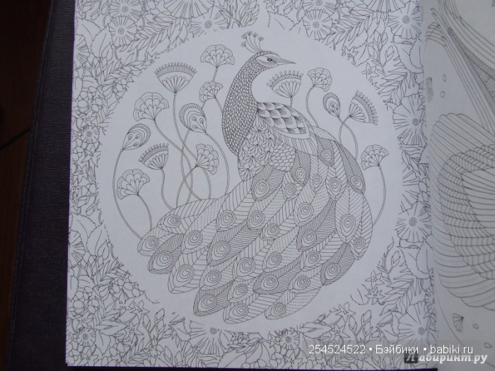 Как мы с Машей побывали в Царстве животных