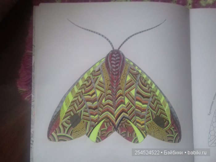 Как мы с Машей побывали в Царстве животных