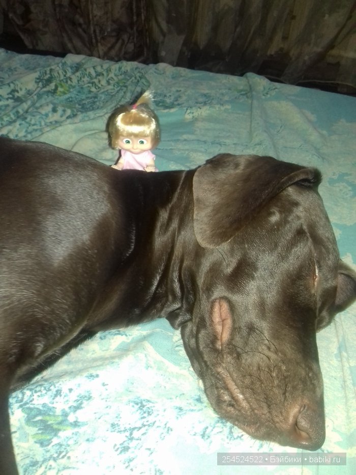 Наша Маша — Куклы Маша и Медведь (Simba): Маша в кармашке