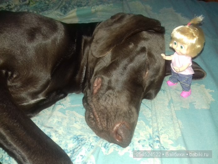 Наша Маша — Куклы Маша и Медведь (Simba): Маша в кармашке