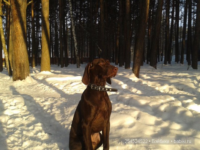 Наша Маша — Куклы Маша и Медведь (Simba): Маша в кармашке